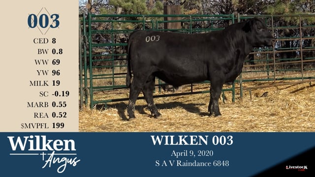 Lot #3 - WILKEN 003