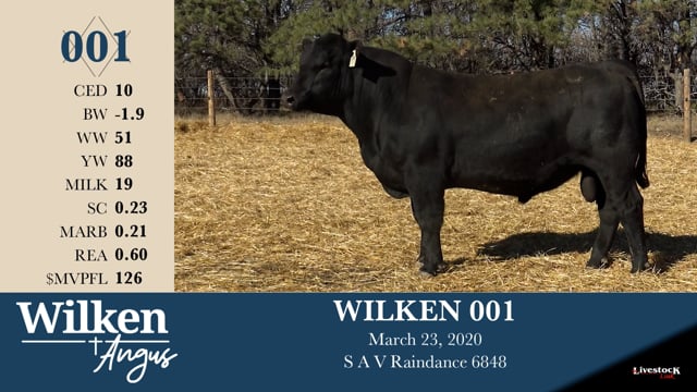 Lot #1 - WILKEN 001