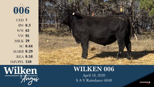 Lot #6 - WILKEN 006