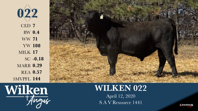 Lot #22 - WILKEN 022