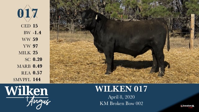 Lot #17 - WILKEN 017