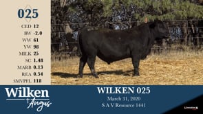Lot #25 - WILKEN 025