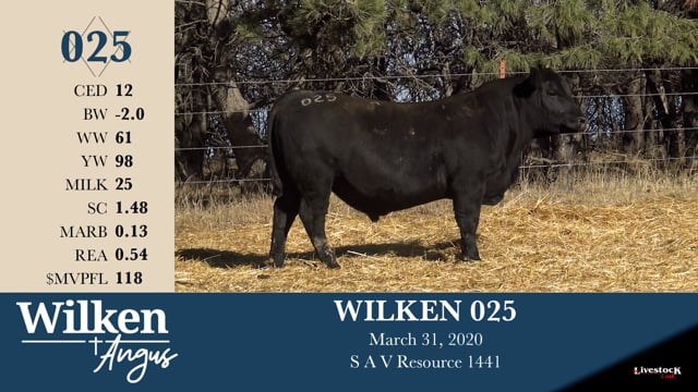 Lot #25 - WILKEN 025