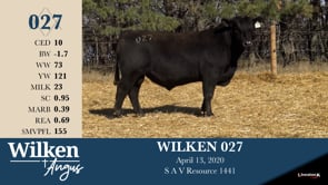 Lot #27 - WILKEN 027