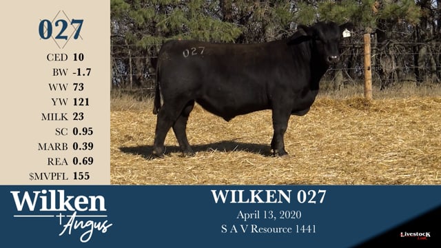 Lot #27 - WILKEN 027