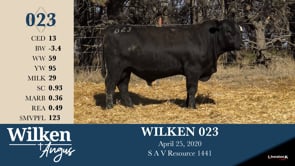 Lot #23 - WILKEN 023