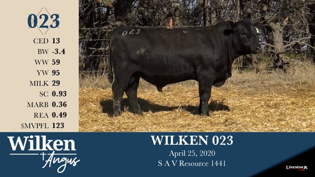Lot #23 - WILKEN 023