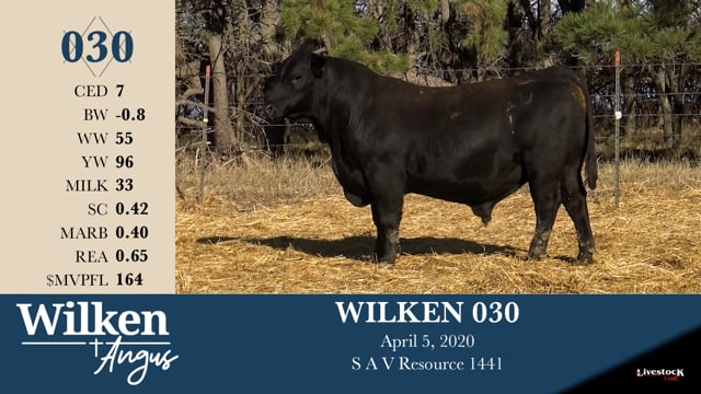 Lot #30 - WILKEN 030