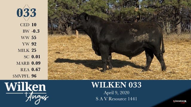 Lot #33 - WILKEN 033