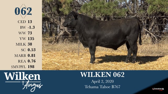 Lot #62 - WILKEN 062