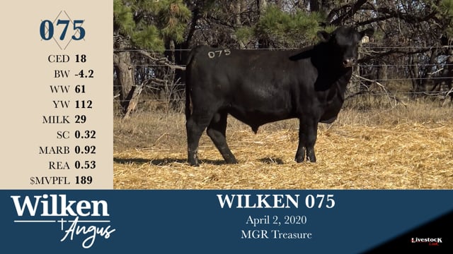 Lot #75 - WILKEN 075