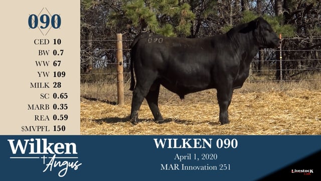Lot #90 - WILKEN 090