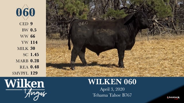 Lot #60 - WILKEN 060