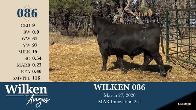 Lot #86 - WILKEN 086