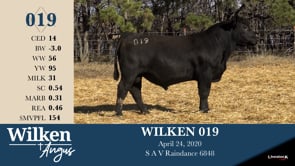 Lot #19 - WILKEN 019