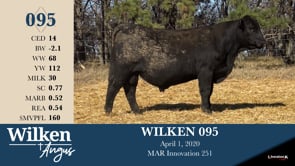 Lot #95 - WILKEN 095