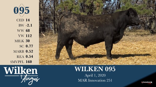 Lot #95 - WILKEN 095