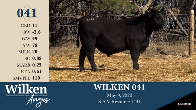 Lot #41 - WILKEN 041