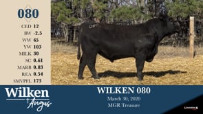 Lot #80 - WILKEN 080
