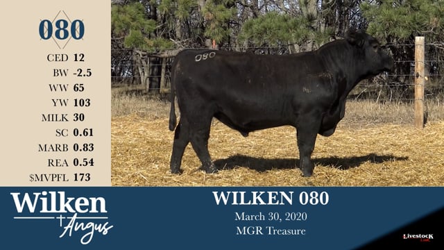 Lot #80 - WILKEN 080
