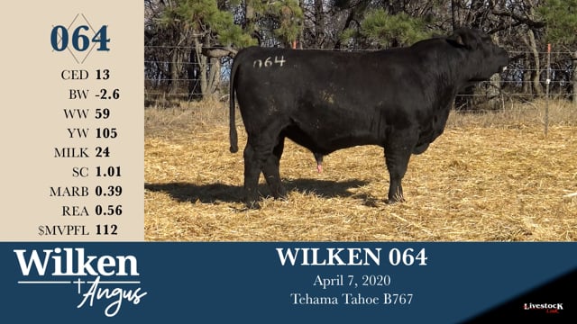 Lot #64 - WILKEN 064