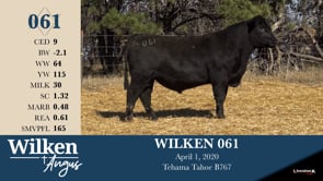 Lot #61 - WILKEN 061
