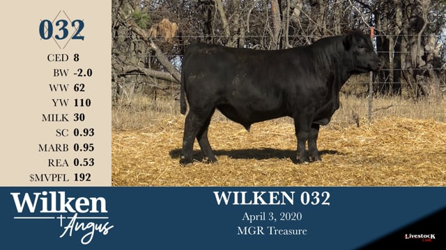 Lot #32 - WILKEN 032