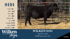 Lot #101 - WILKEN 0101