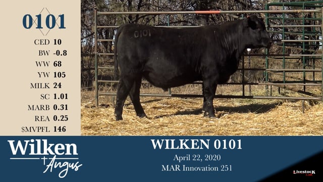 Lot #101 - WILKEN 0101