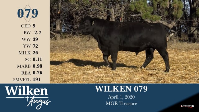 Lot #79 - WILKEN 079