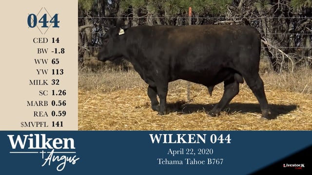 Lot #44 - WILKEN 044