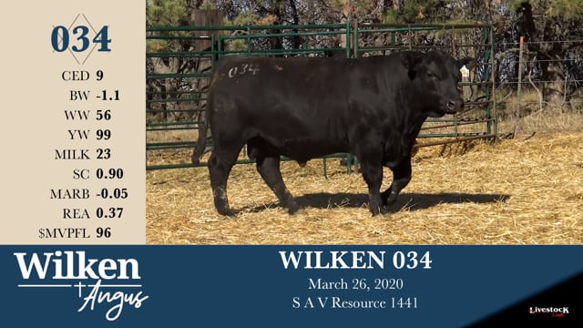 Lot #34 - WILKEN 034