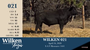 Lot #21 - WILKEN 021