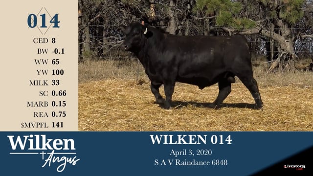 Lot #14 - WILKEN 014