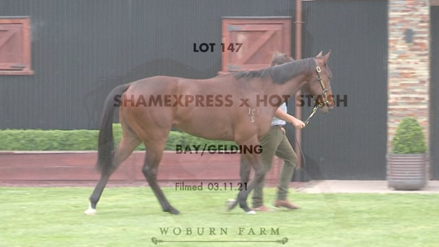 Lot 147