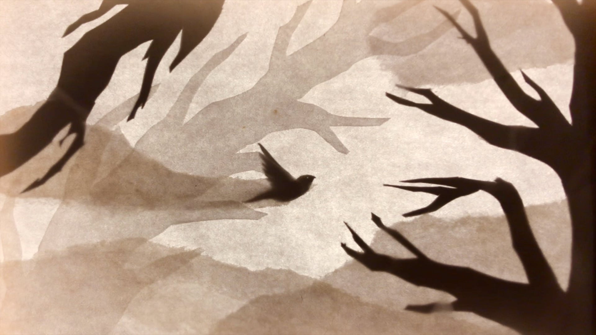 Shadow Bird and Fiddle