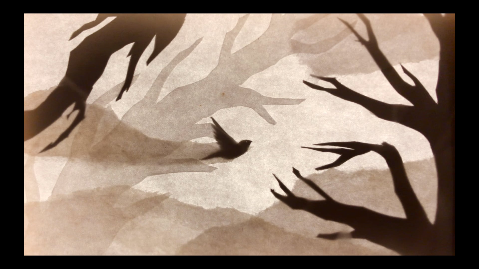 Shadow Bird and Fiddle