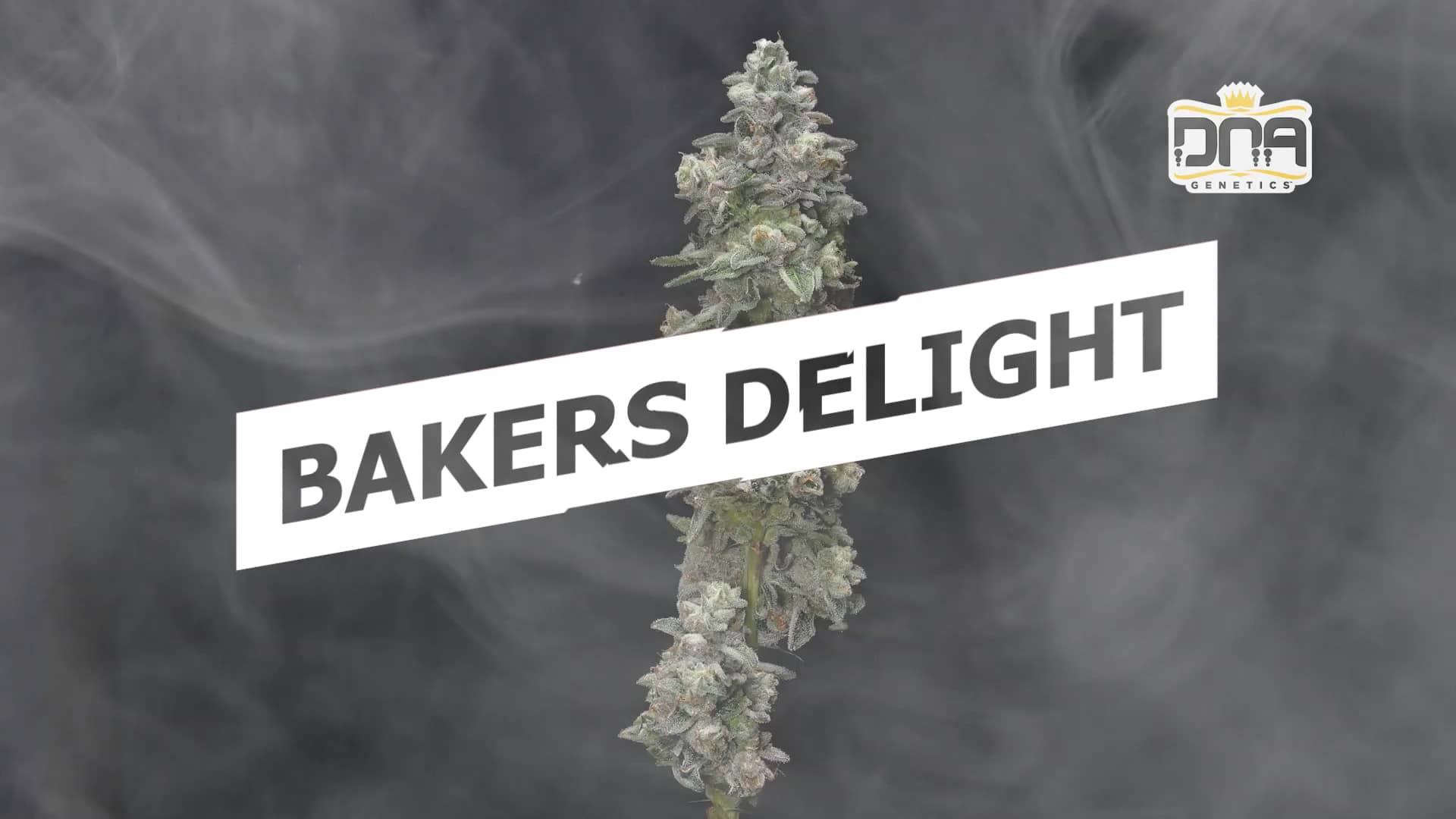 Bakers Delight DNA Strain Video on Vimeo