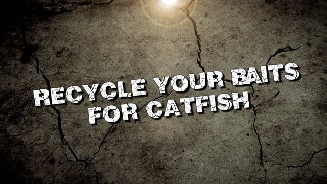 Catfish Bait Pro Tip.mp4