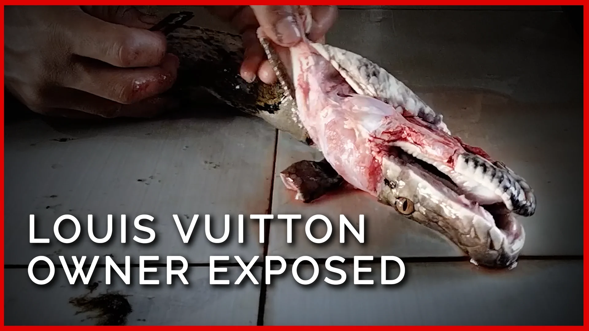 Louis Vuitton Owner Exposed: Workers Bash Pythons in the Head for