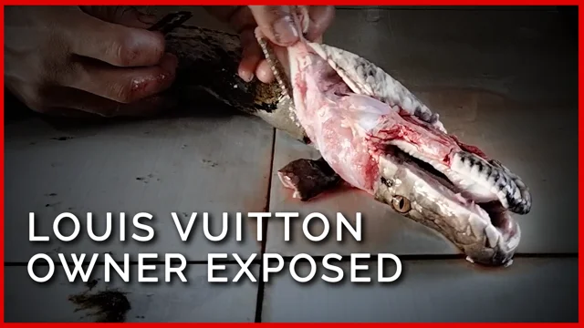 PETA Exposé: Python Supplier to Louis Vuitton Owner Uncovered