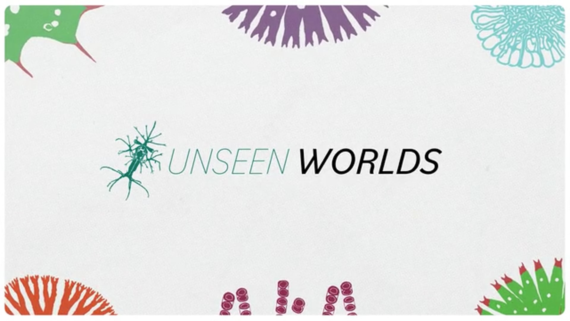 U-M Museum of Natural History | Unseen Worlds