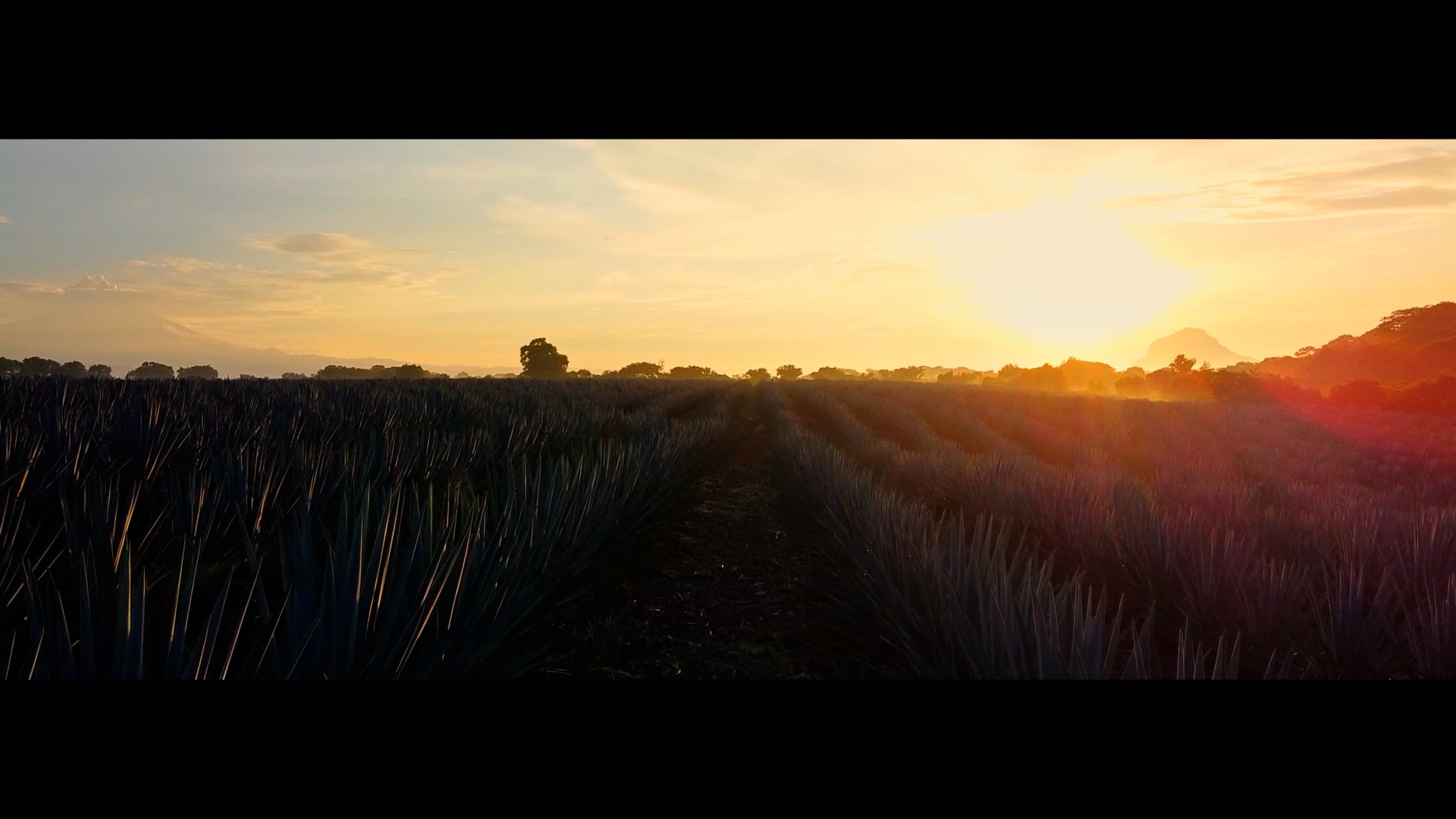 24 Hours in Morelos with Revel Spirits on Vimeo