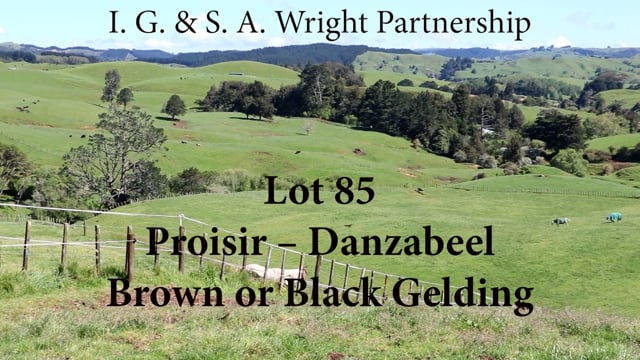 Lot 85