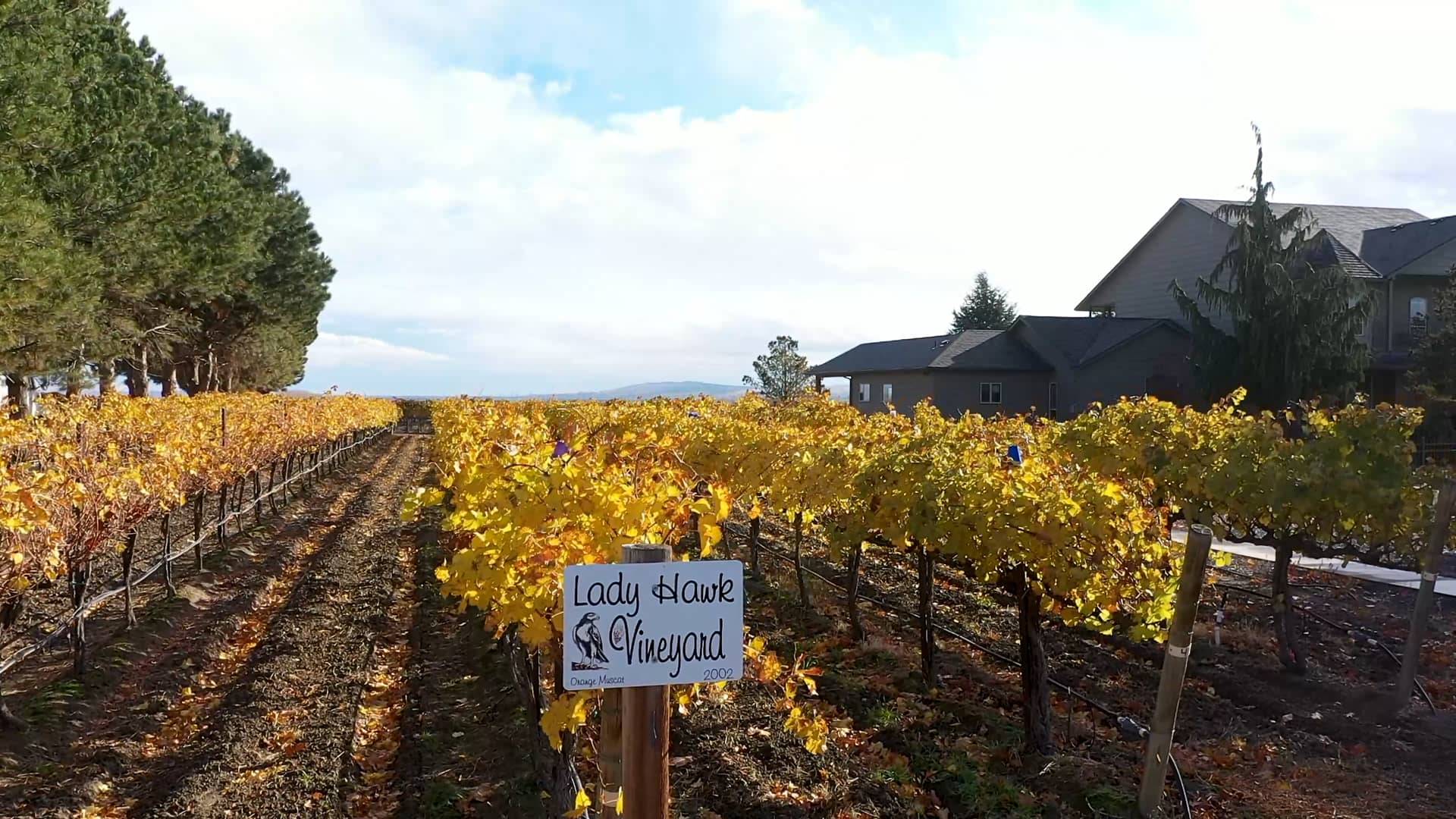 530 Alderdale Rd Prosser, WA on Vimeo