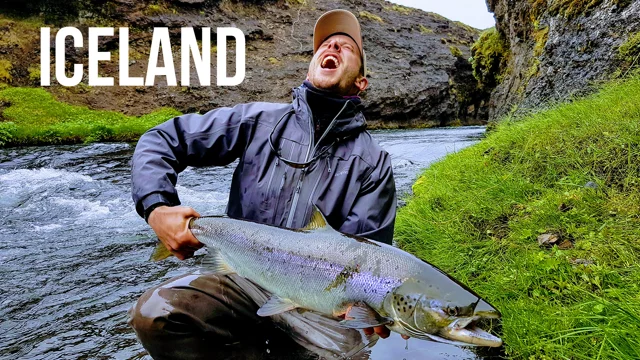 Trout and Salmon/Fly Fishing Videos 