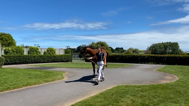 Lot 138