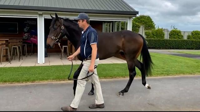 Lot 278