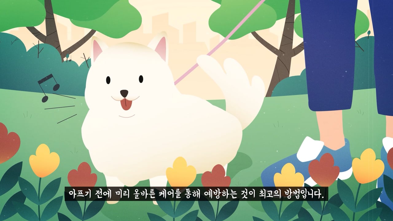 펫츠워드 인포그래픽 홍보 영상 — 로바니코 제작 사례