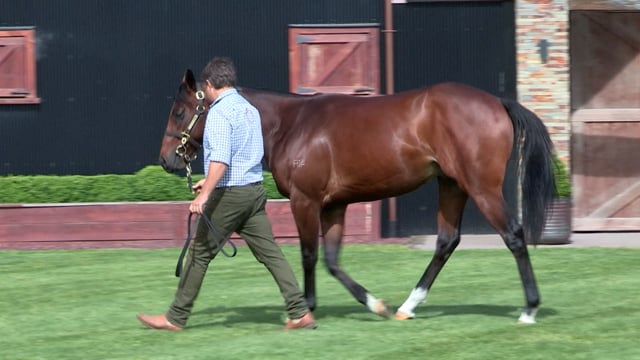 Lot 128